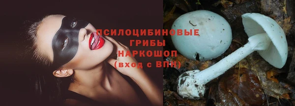 СК Михайловка