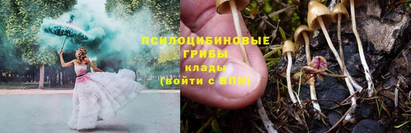 мескалин Михайлов