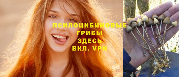 СК Михайловка